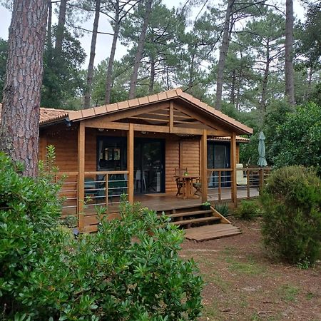 Chalet La Lande Ondres Bagian luar foto